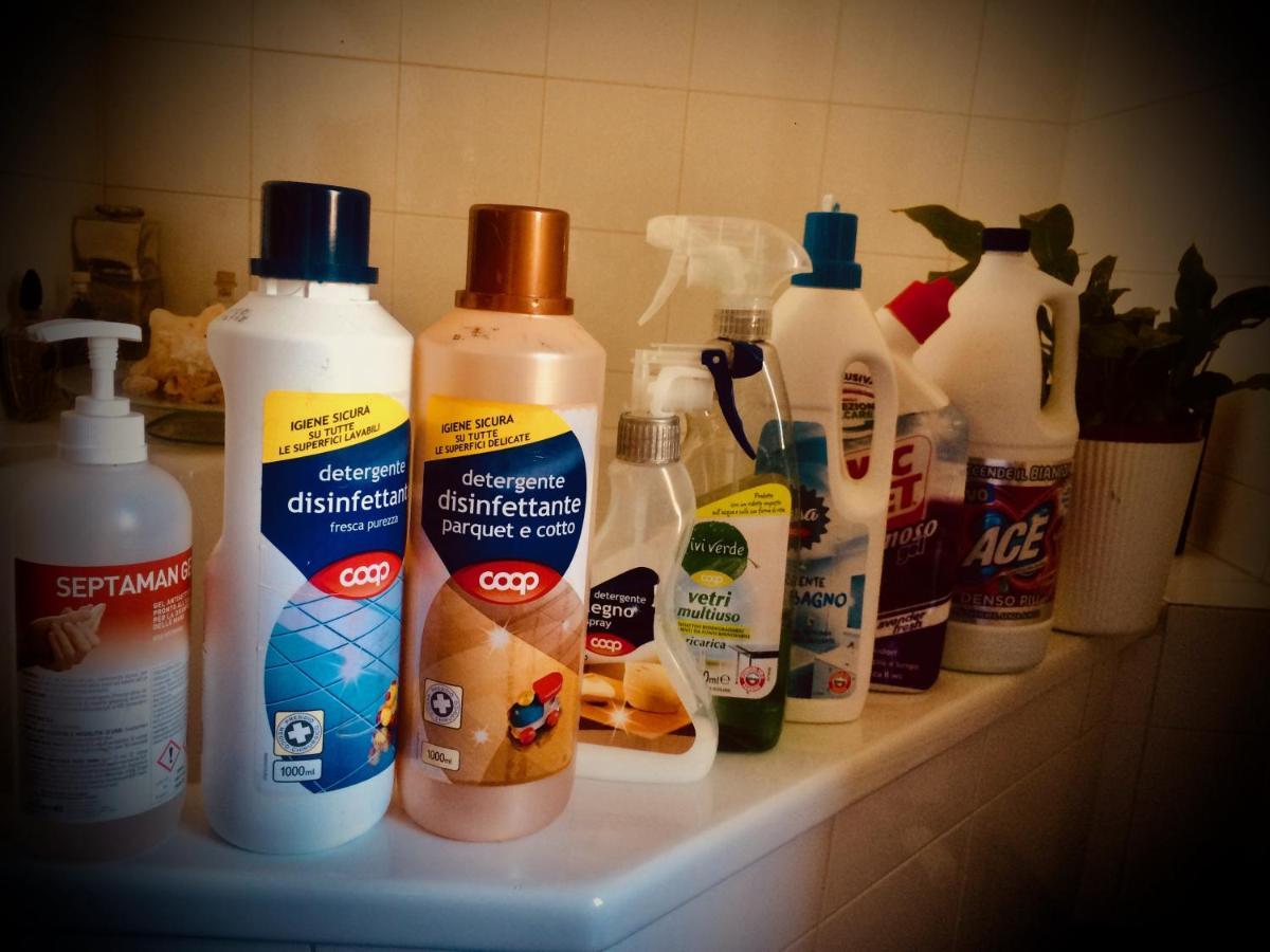Da Coco E Mini,L'Angolo Per Ceramiste In Viaggio - Faenza Ngoại thất bức ảnh